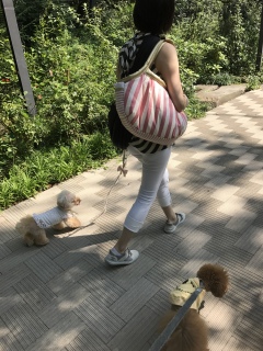 �������V�C☀