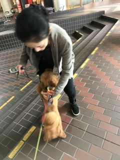 �勻���ł�😆