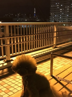 ��邳��ہB