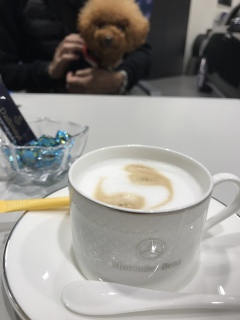 �������������c