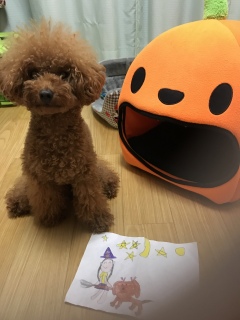 �����