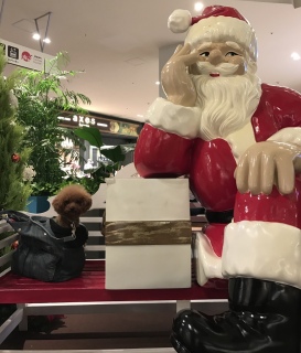 �T���^����🎅