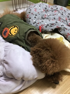 �΂�����