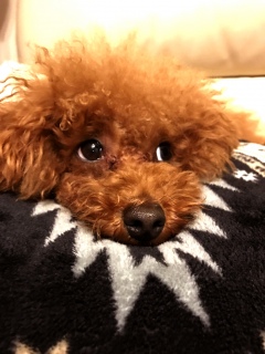 ���₳���`❤