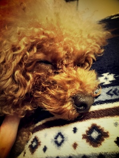 �C�����ǂ�������💤