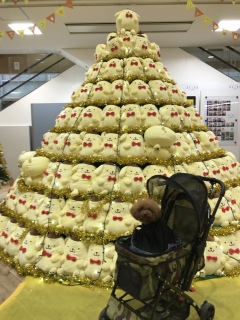 �|���|���v����🍮