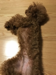 �ʂ��ʂ�