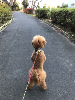 �����邩�ȁH�H