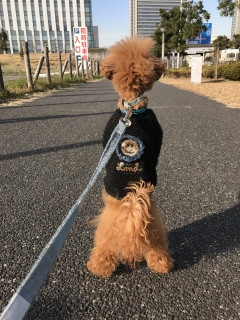 �����邩��`😆