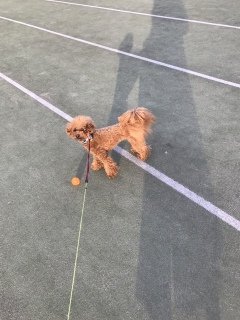 �����́`