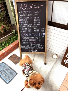 �ǂ��䂤���Ƃ��I�I