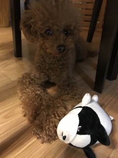 ���C���肠�܂��Ă�