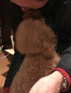 �����❣
