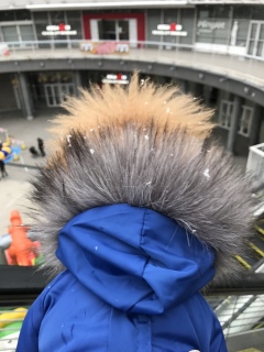 �Ⴞ��❄