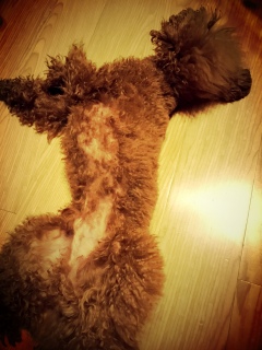 �����҂낰�[