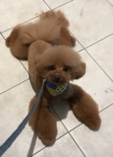 �I��❣