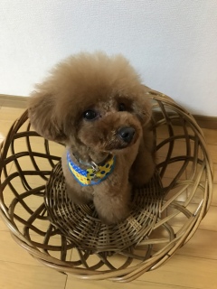 �����❤