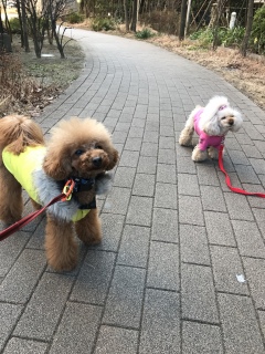 ��[��❤