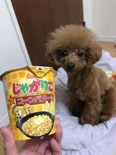 �V����❣
