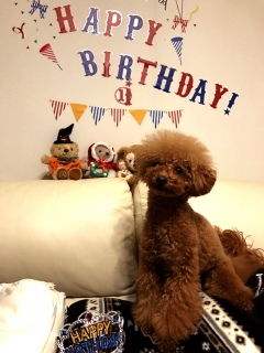 �͂��ҁ[�΁[���Ł[🎉