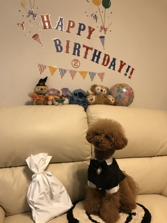 happybirthday🎉