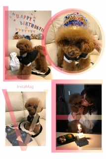 ❣happybirthday❣�o���_�i🎉