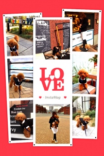 2017.2.17�̂P��❤