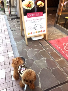 ���z�\�Ԃ��U���B
