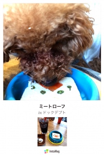 ���܂�ɂ�