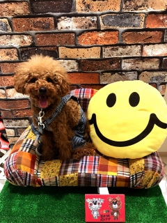 �B�邵���Ȃ����😃