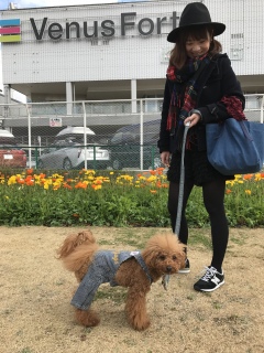 �L���C�ɍ炢�Ă���🌼