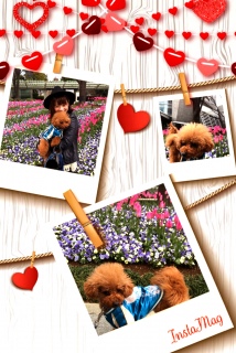 �q���Y�U��