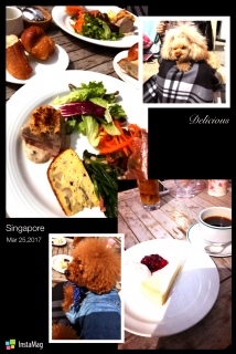 �{����lunch