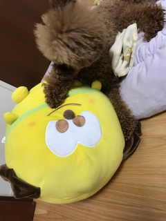 ��[��