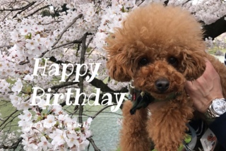 happybirthday🎉