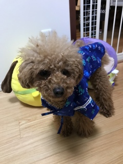 �����Ă݂�❣