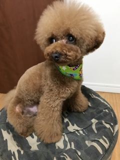 ������[❤❤
