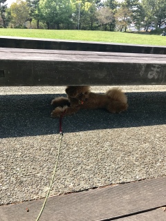 ���[��