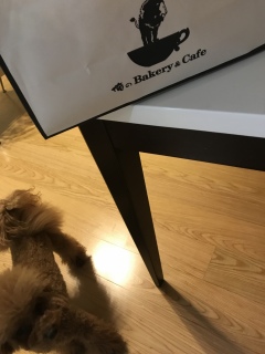 ��[��❣