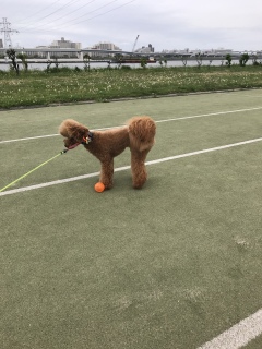����[��💦
