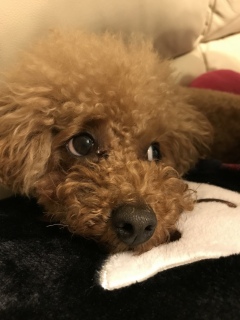 ��΂���❣
