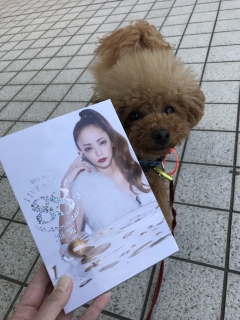 �����❣