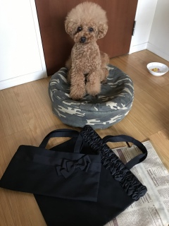 �J���������ǁc