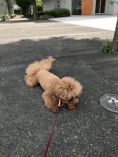 �\�苶������
