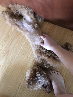 ������