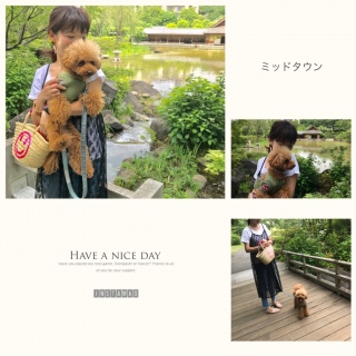 �J�ӂ�O�Ɂc