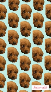 ����Ă݂�❣