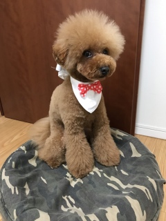 ���܂��❤