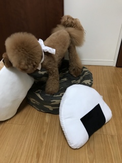 ���ʁc