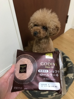 ����Ƃ�����❣